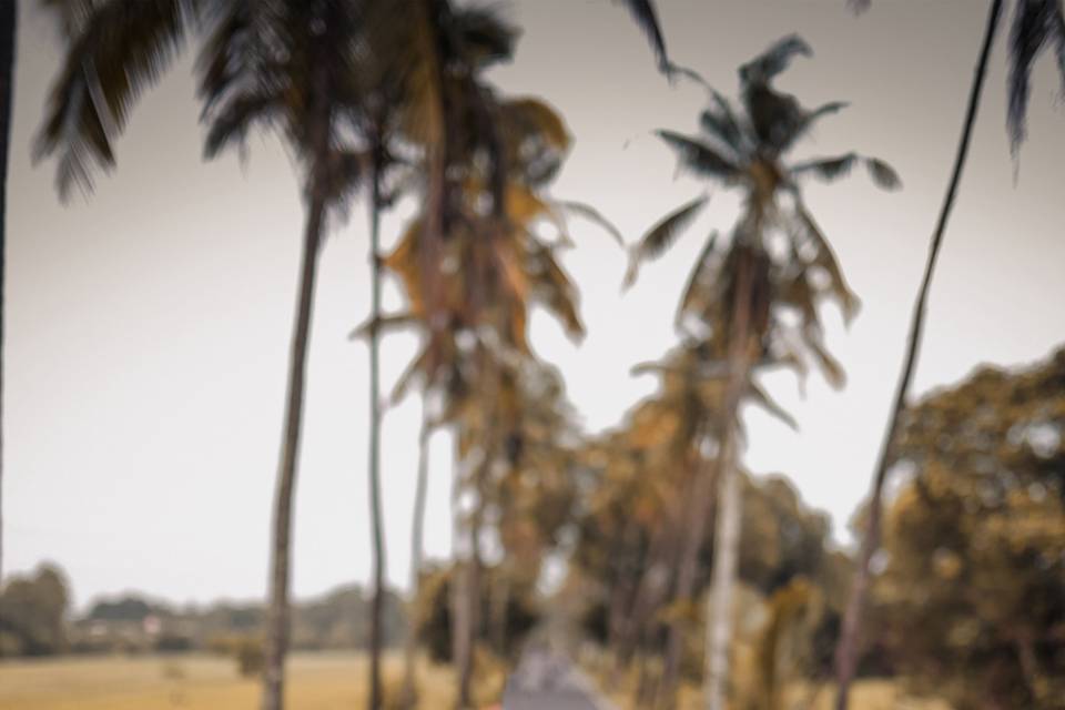 PRE WEDDING