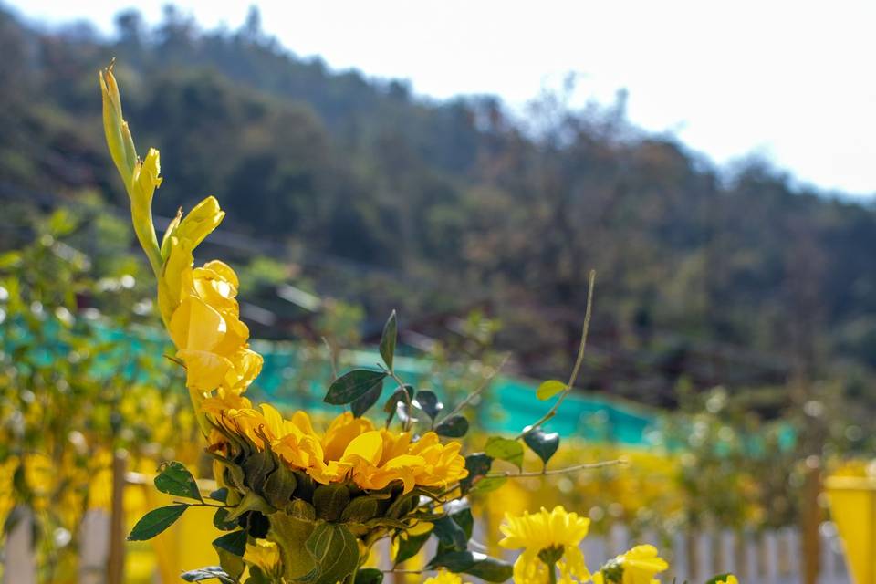 Haldi decor