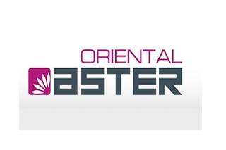Oriental Aster