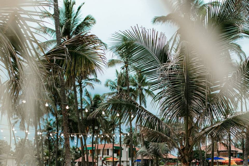 MGM Beach Resort