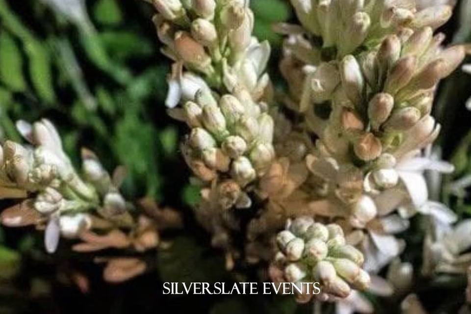 Silverslate Events by Dolly Munjal