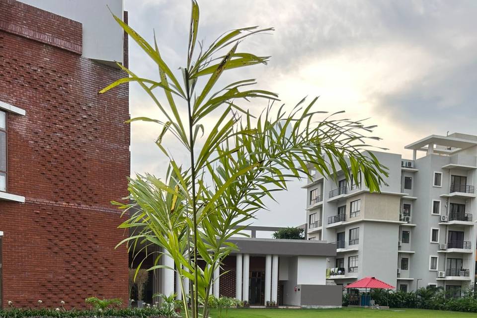 Lawn area