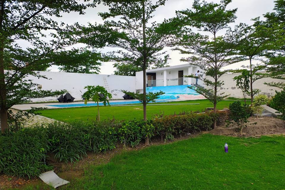 Lawn area