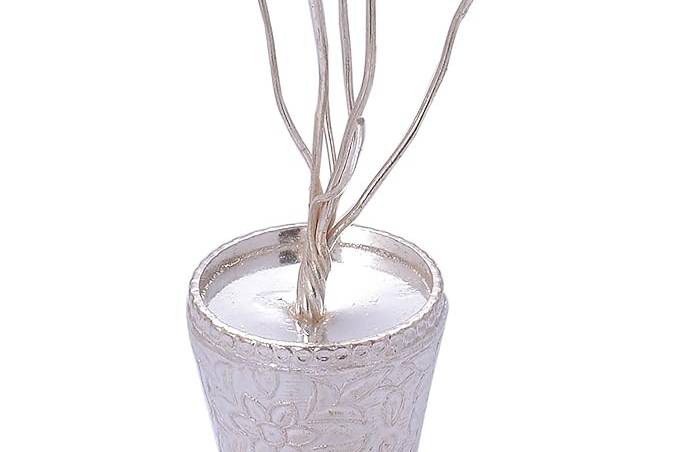 Silver Engraved plant