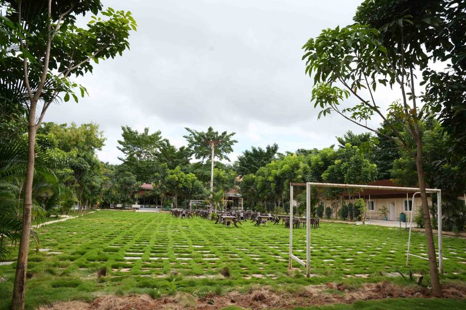 Lawn area