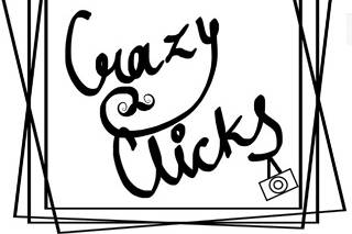 Crazy Clicks Logo