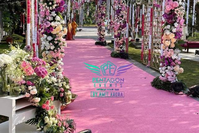 Beautiful Wedding Entrance