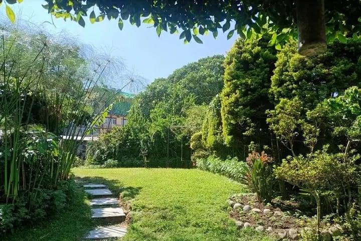 Lawn area