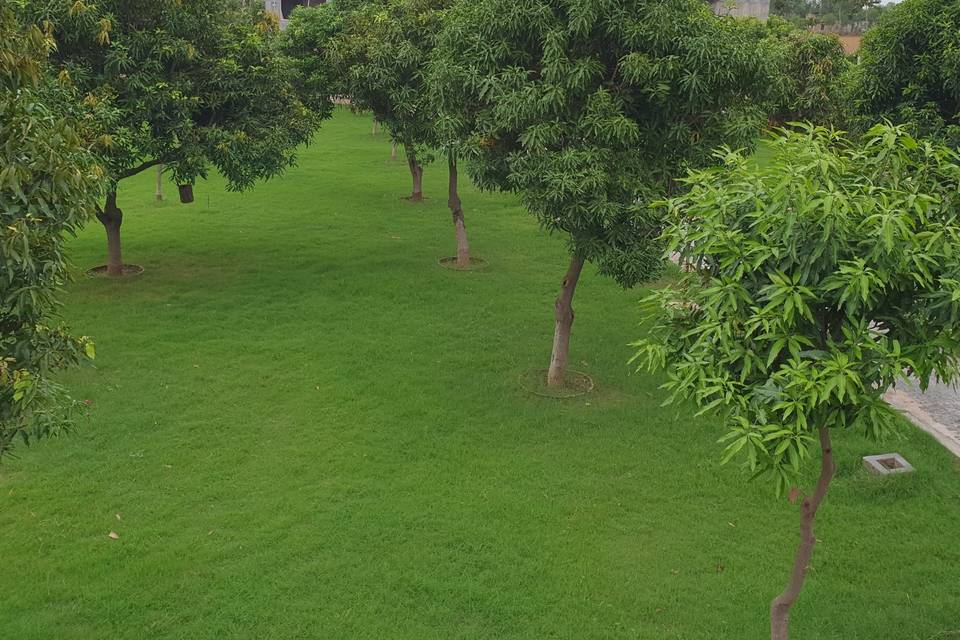 Amrapali garden