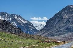 manali