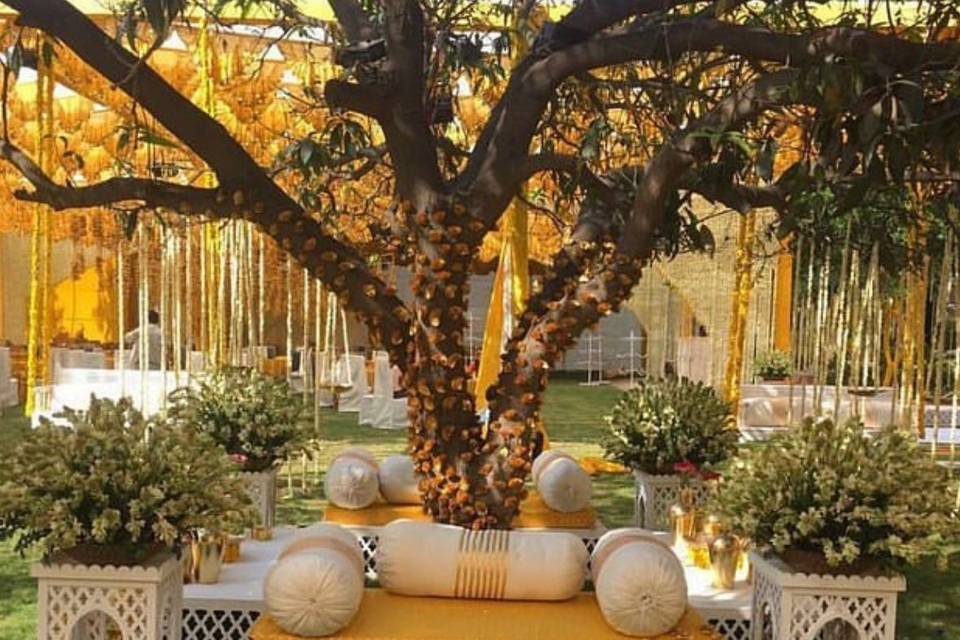 Haldi Stage