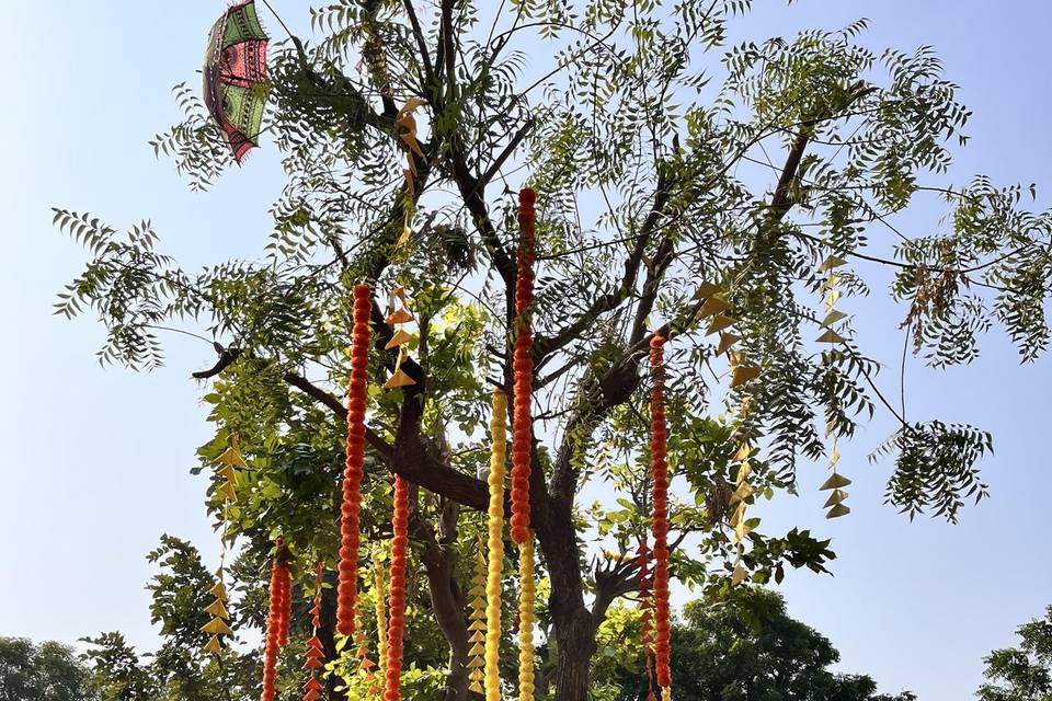 Haldi Tree Decor