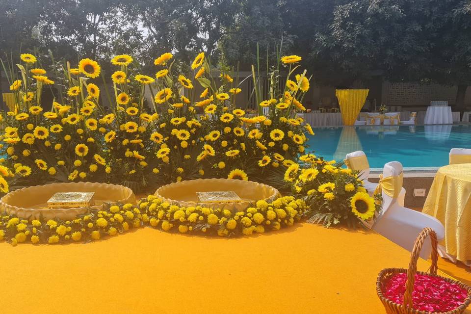 Haldi