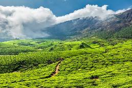 Eco Trails Kerala