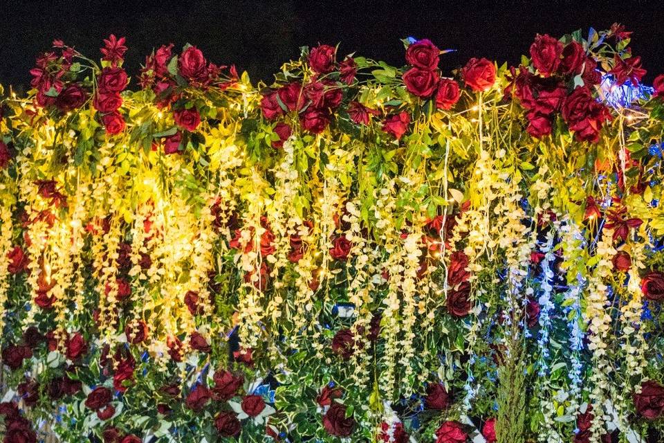 Red roses backdrop