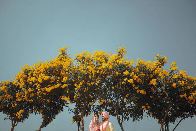 Wedding