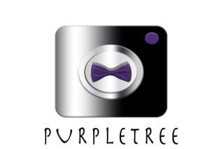 Purple Tree Studio