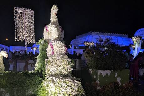 Giant Peacock Installation