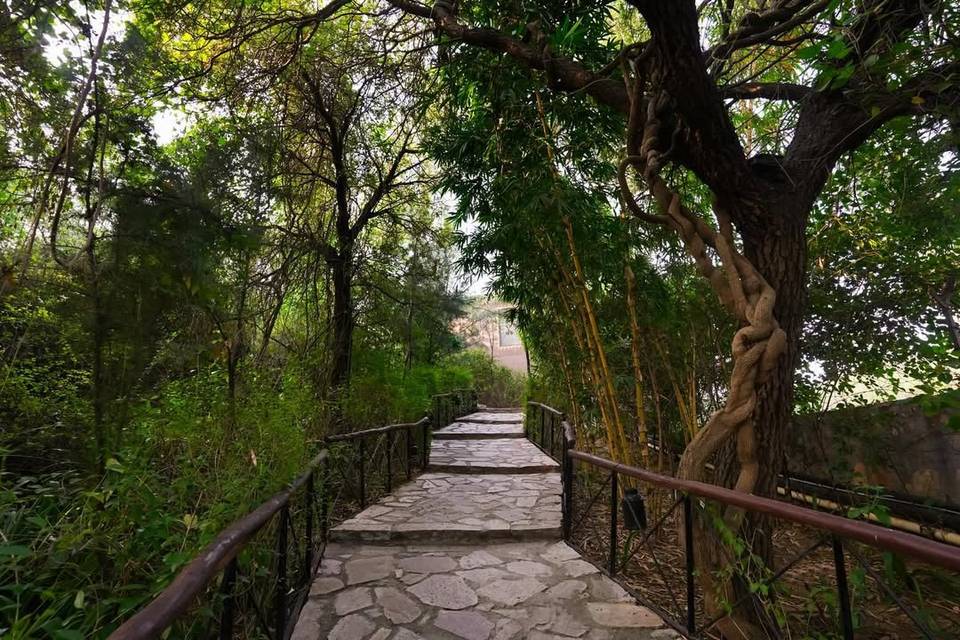 Pathway