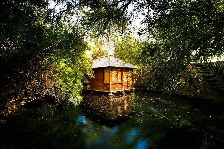 Accommodation