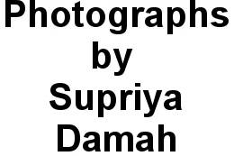 Photographs by Supriya Damah Logo