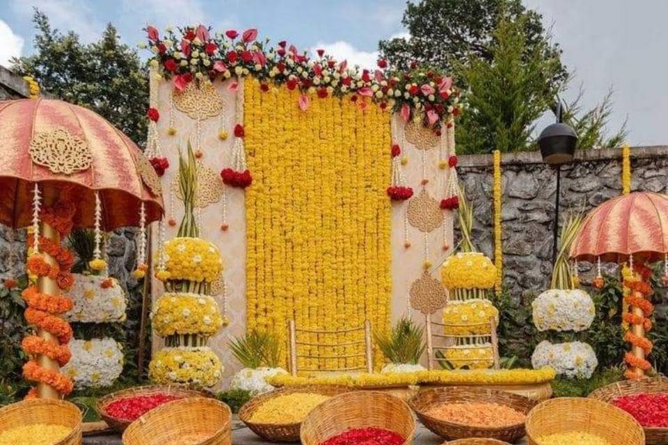 Haldi Setup