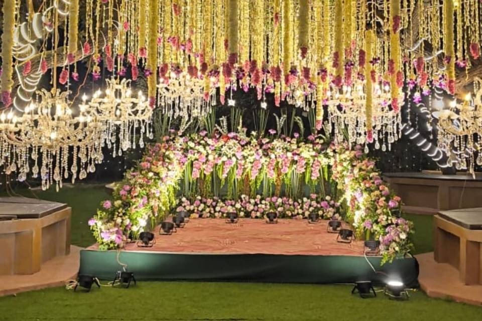 Backdrop under trees