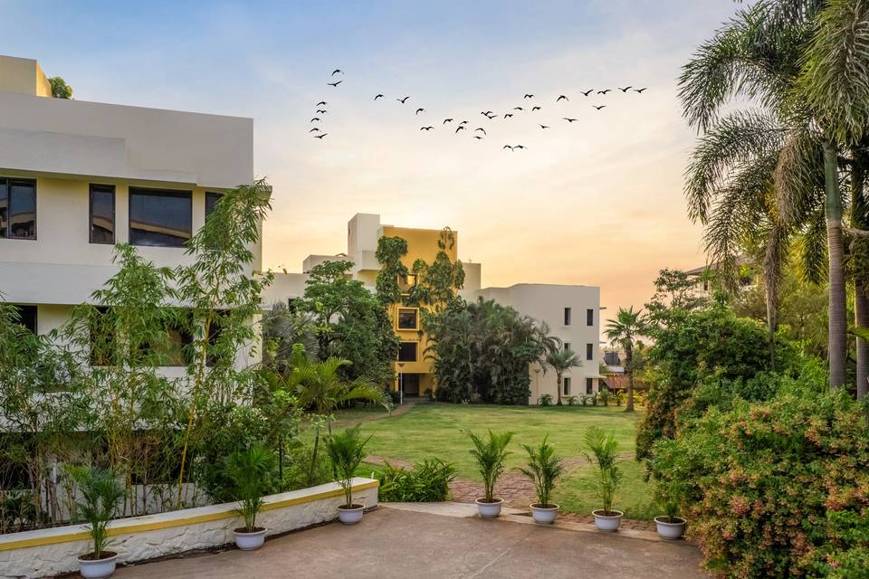 Courtyard Lawn