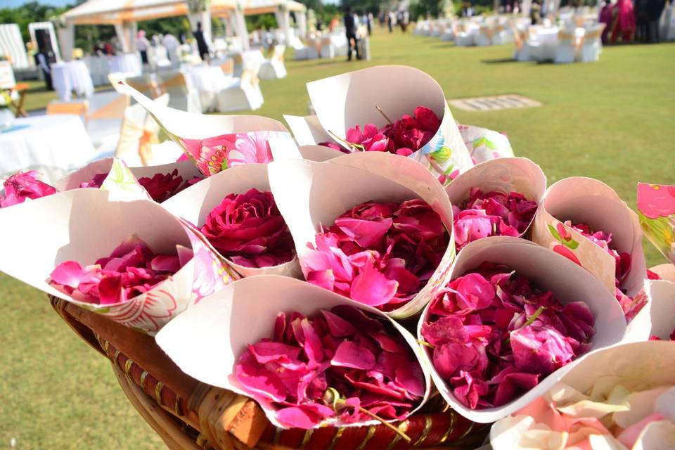 Wedding Planner Jaipur