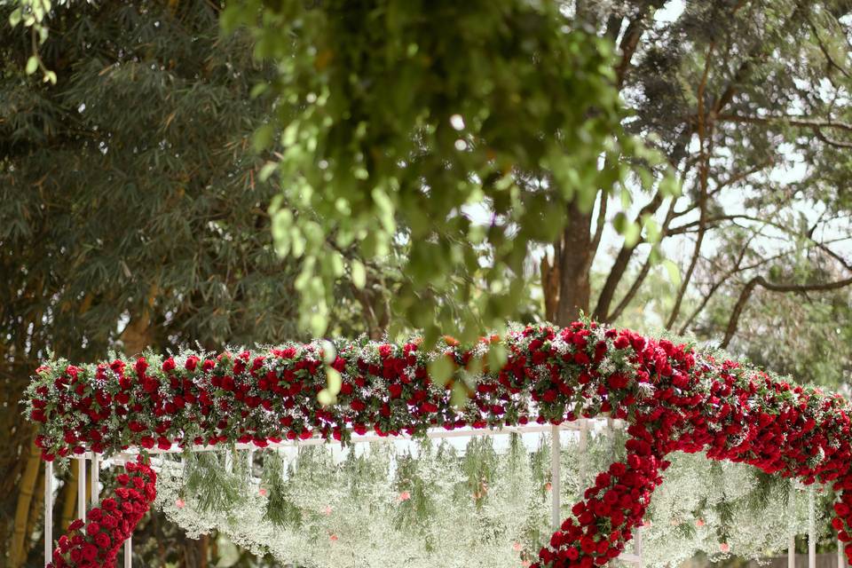 Mandap Set Up