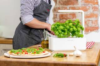 Grow Smart Greens By Ameya