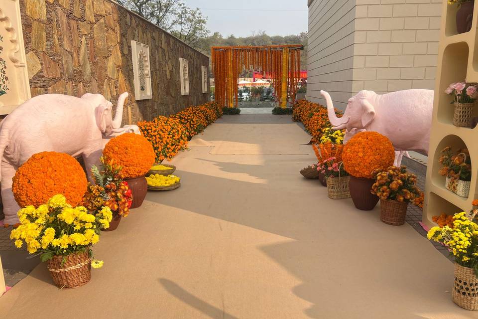 Wedding Setup- Poolside