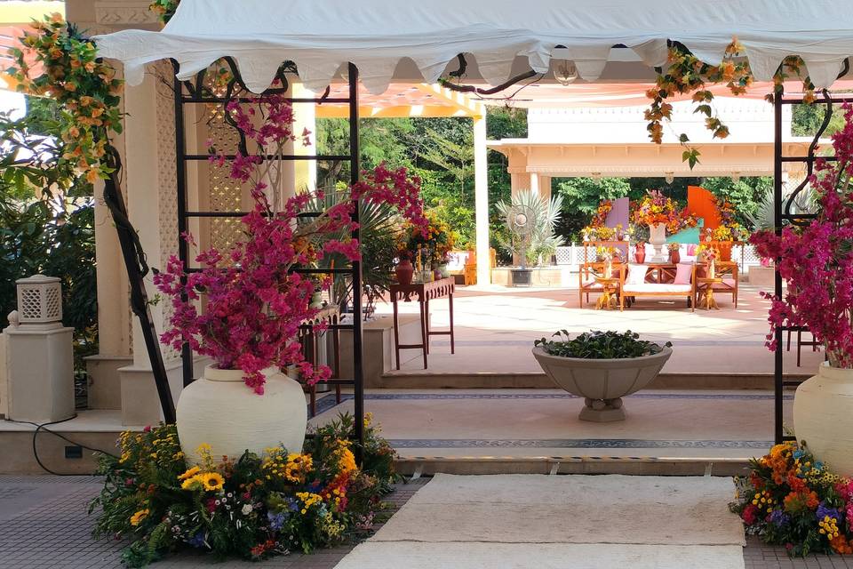 Wedding setup-Carnival