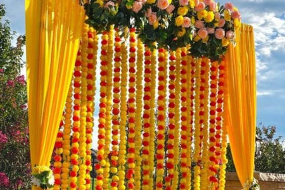 Haldi