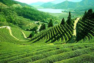 Maxworth Tours & Travels