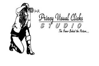 Princy visual clicks logo