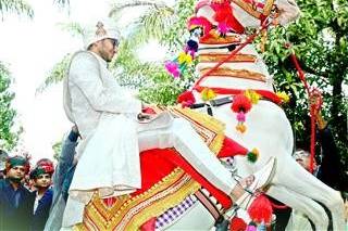 Wedding shots