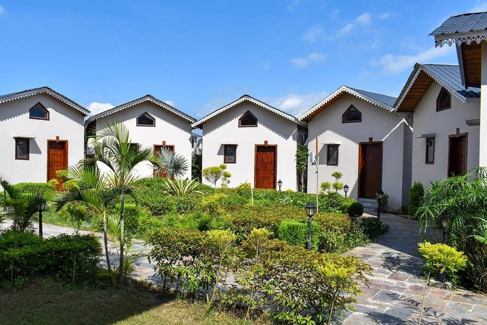 Lawn area