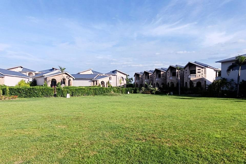 Lawn area