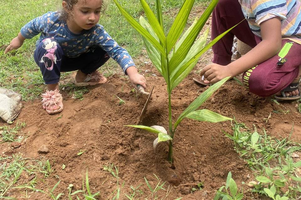 Planting