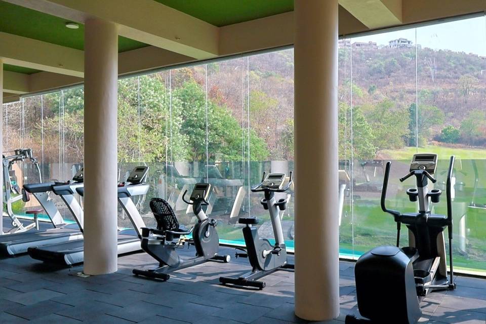 Gymnasium