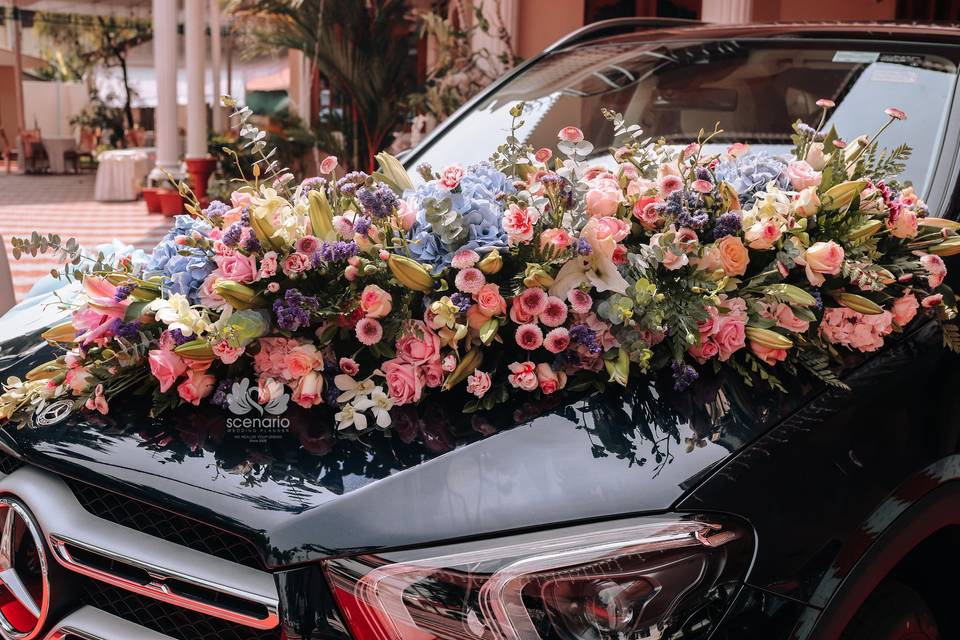 Car Decor