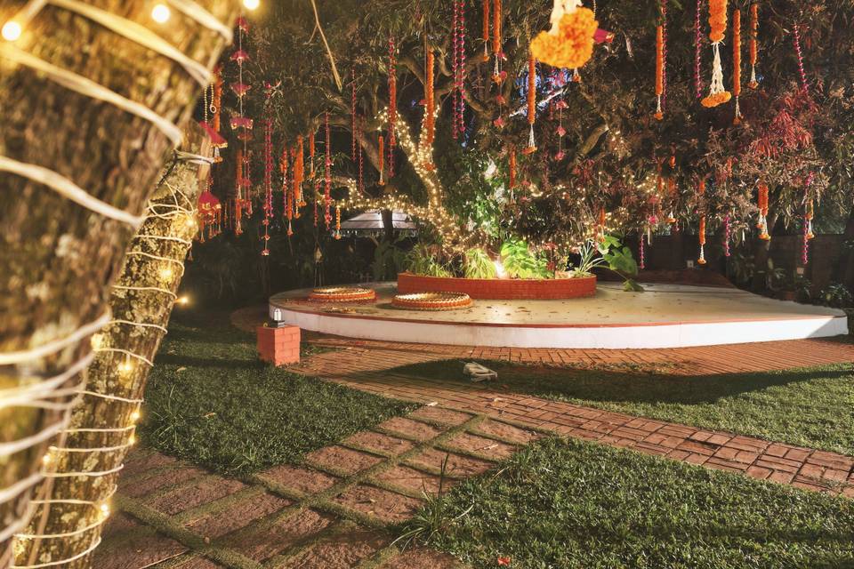 Under the mango tree