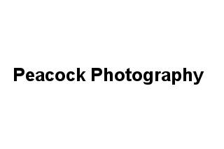 Peacock Photography
