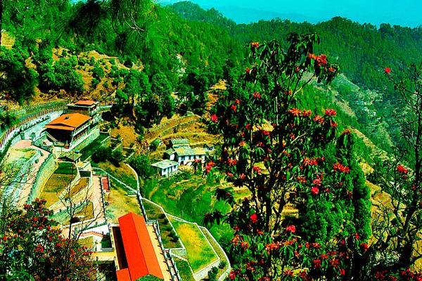 Mystic Mountains Resort, Jageshwar Dham
