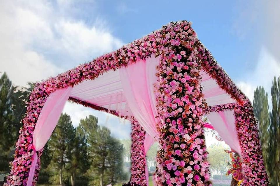 Pink fusion Mandap