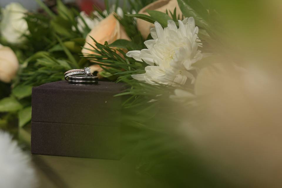 Goa Engagement