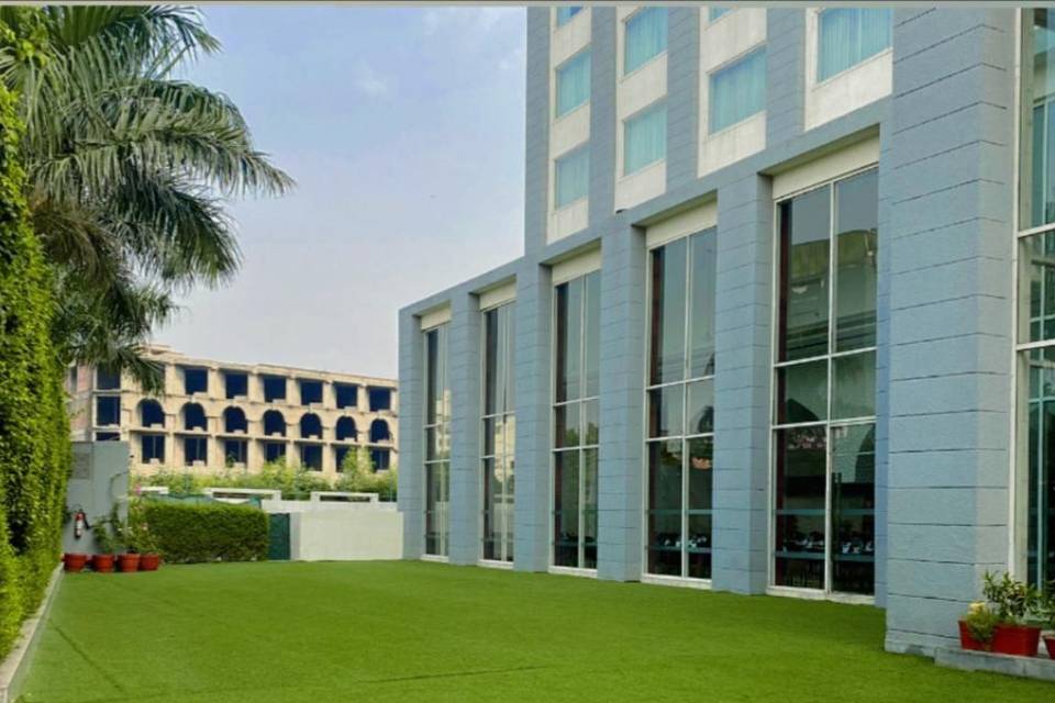 Alfresco lawn
