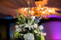 Star Wedding & Event Solutions