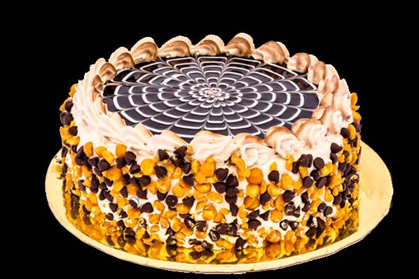 Experience the Richness of Milk Cake at Novelty Sweets Amritsar